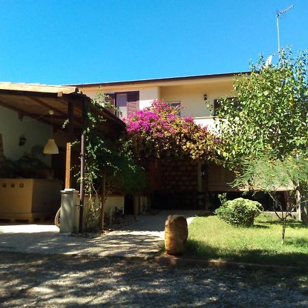 B&B Las Piccas Санта-Мария-ла-Пальма Экстерьер фото
